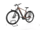Canyon Pathlite:ON 6 Elektrofahrrad – Bild 5