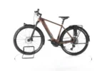 Canyon Pathlite:ON 6 Elektrofahrrad – Bild 6