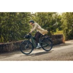RIESE & MULLER Superdelite 5 Rohloff HS (Speed-Bike) – Bild 6