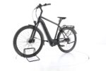 Pegasus Solero Evo 8R Elektrofahrrad 2021 – Bild 5